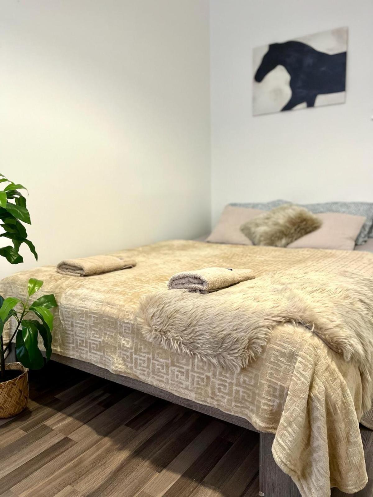 Apartment Adele - Old Town Μπρατισλάβα Εξωτερικό φωτογραφία